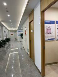 -碧莲盛·不剃发植发