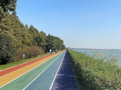 -贡湖湾湿地公园