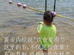 -碧海金沙