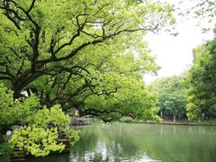 -西溪国家湿地公园