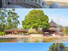 -广东圆玄道观