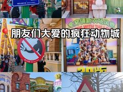 -上海迪士尼度假区