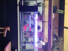 -李先生牛肉面大王(成都东站西广场店)