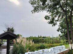 -白鹭湾湿地公园