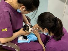 -达爱动物医院·犬猫分区·CT·复杂眼科(远洋山水分院)
