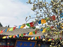 -西安市广仁寺