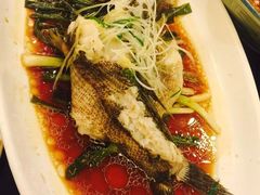 清蒸笋壳鱼-新南华大酒店(广中店)