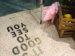 -WHEN PIGS FLY当猪飞