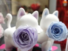 -ROSEONLY诺誓(磐基中心店)