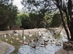 -森林公园(尖草坪区)