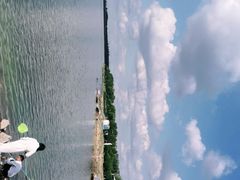 -丁香湖公园
