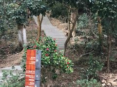 -梧桐山风景名胜区