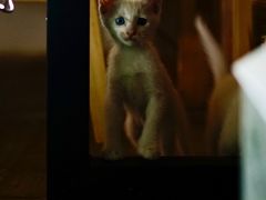 -新月集庭院咖啡馆(老邮局店)