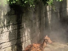 -成都动物园