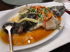 -老正兴菜馆(福州路店)