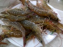 -春华海鲜城(广场西苑店)