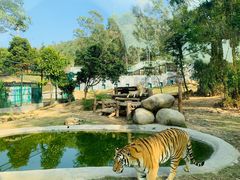 -泉州海丝野生动物世界