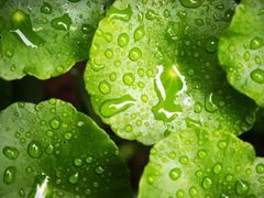 -新辣道鱼火锅(航天万源店)