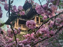 -西安青龙寺遗址景区