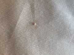 -李老爹香辣蟹(宣武门店)