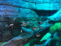 -沈阳海洋探索中心