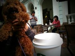 android_upload_pic-星巴克臻选(广州沙面店)