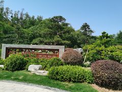 -深圳仙湖植物园