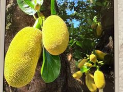 -超群咖啡葡式美食(南贵花园店)