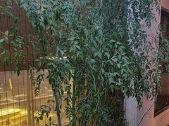 -九福楼大酒店