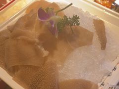 -蜀九鼎毛肚火锅(惠安店)