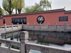 -百脉泉景区