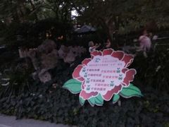 -华山儿童公园