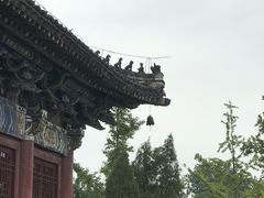 -洛阳白马寺