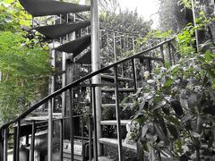 -The Grounds of Alexandria