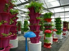 -兰陵国家农业公园