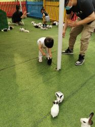 -萌宠亲子动物乐园(槐房万达店)