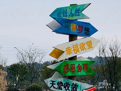 -大塘金香草谷