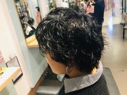 -东方麒麟·潘多拉SALON