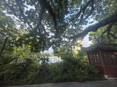 -文儒九号·闽菜馆(三坊七巷店)