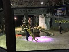 -清迈夜间动物园