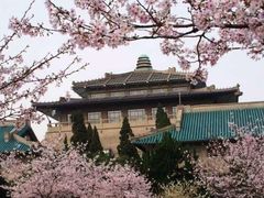 -武汉大学-樱园