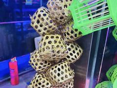 -花鸟鱼虫鲜花绿植市场(玉泉路店)