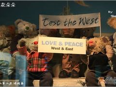 -济州岛泰迪熊博物馆