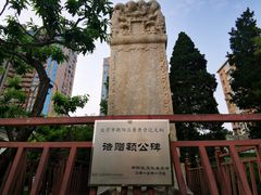 -团结湖公园