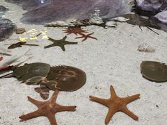 -福州罗源湾海洋世界旅游区