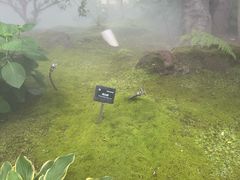 -上海植物园-4号门售票处