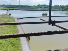 -盐城丹顶鹤湿地生态旅游区