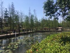 -映月湖公园