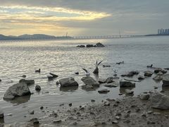 -深圳湾公园(南山区)