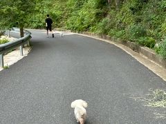 -东天目山风景区